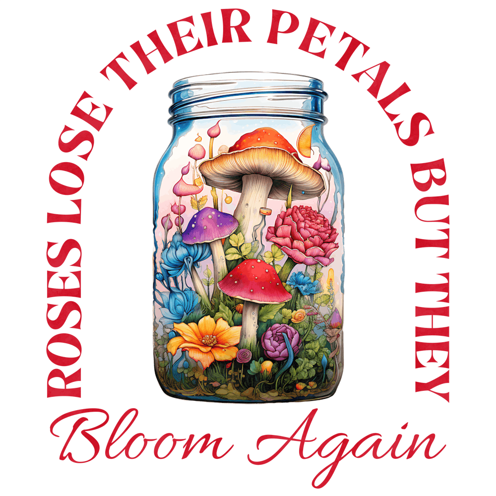 Roses Their Petals But They Bloom Again