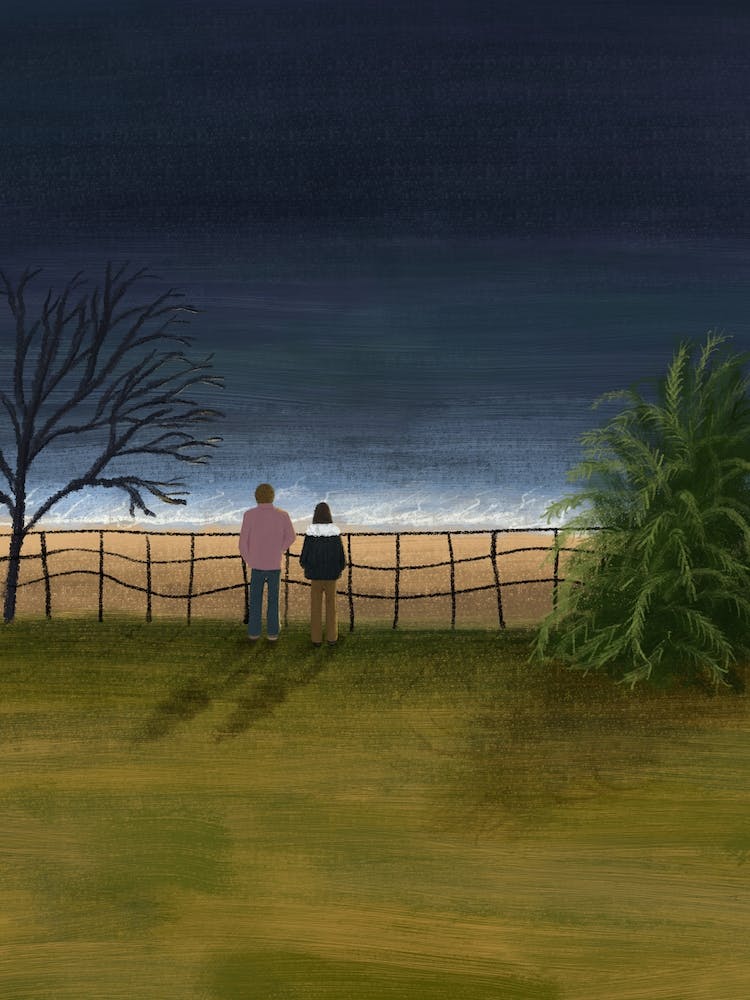 Beach Walking In The Evening