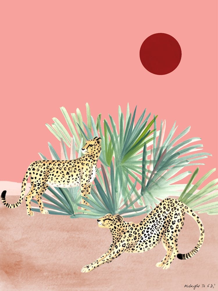 Lazy Afternoon Cheetah