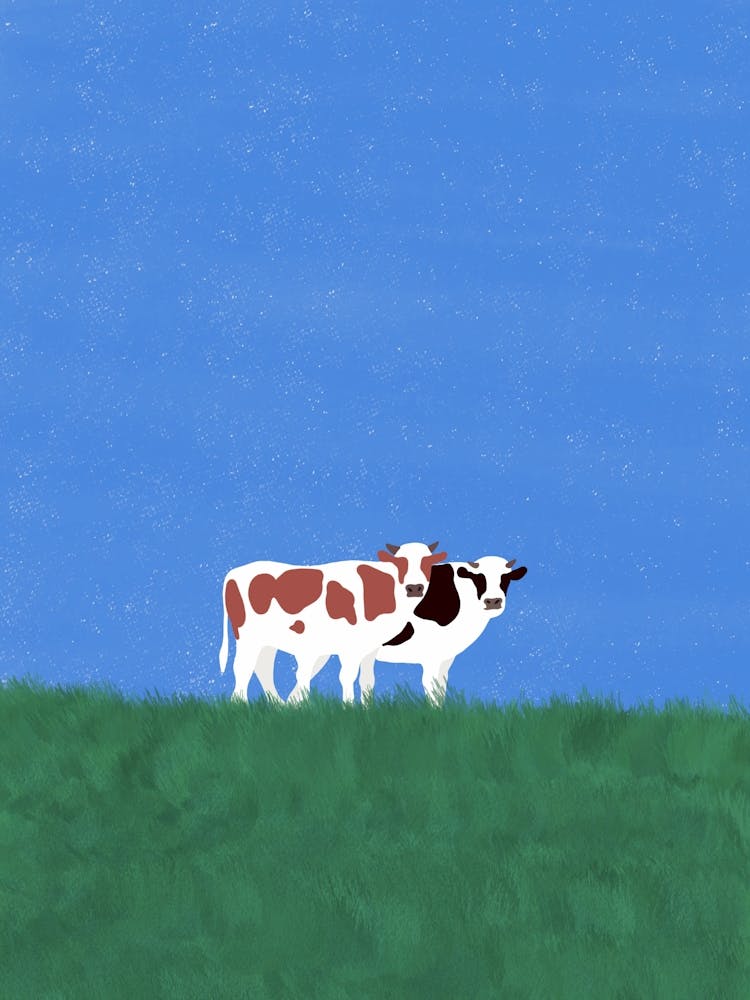 Cows In The Grass