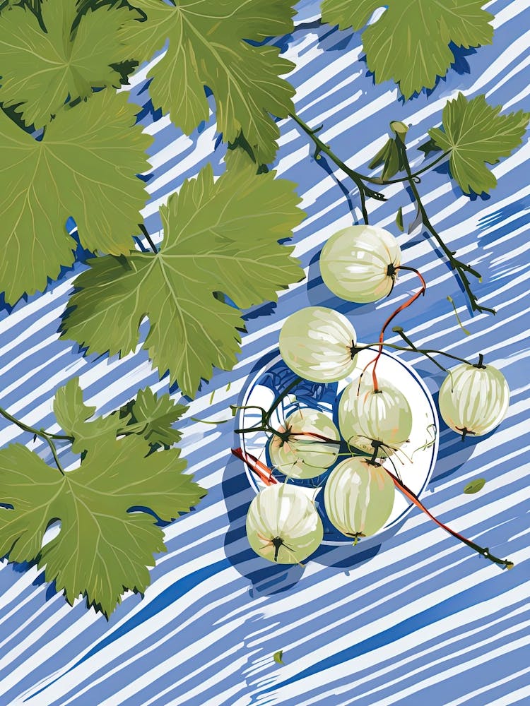 Gooseberries Fruit Summer Illustration 4