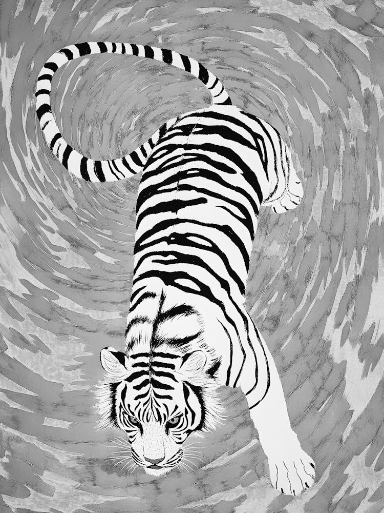 Tiger In The Vortex