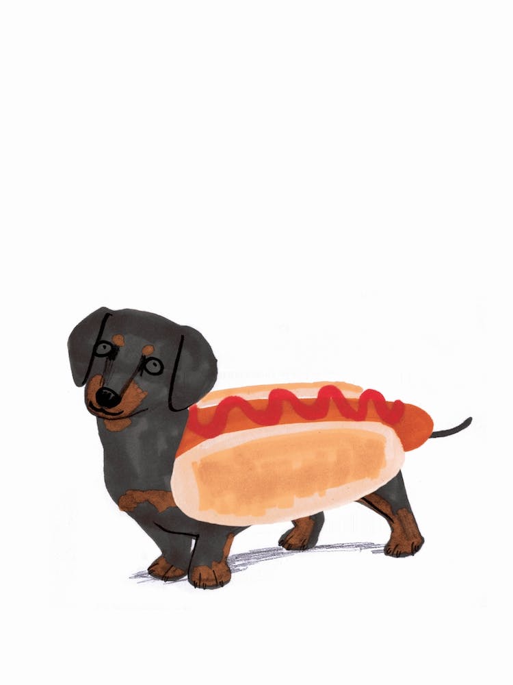 Hotdog Sauagedog