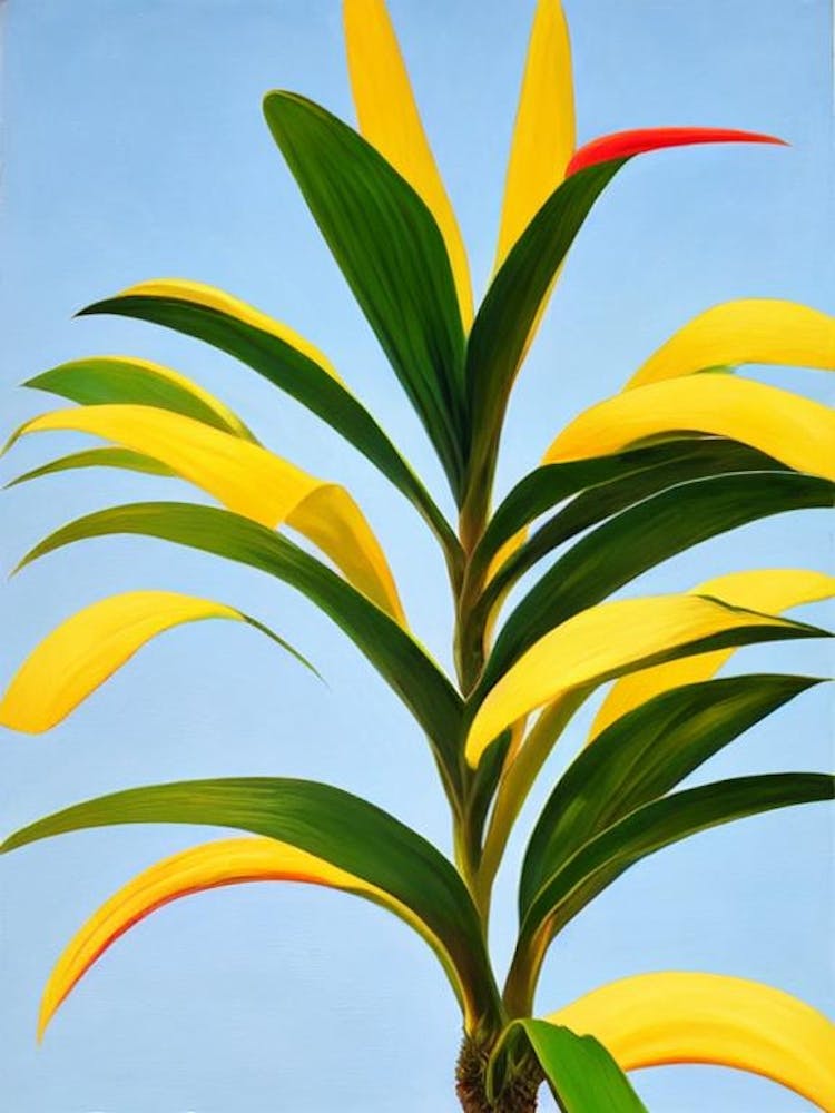 Red Edged Dracaena Bold Graphic Plant