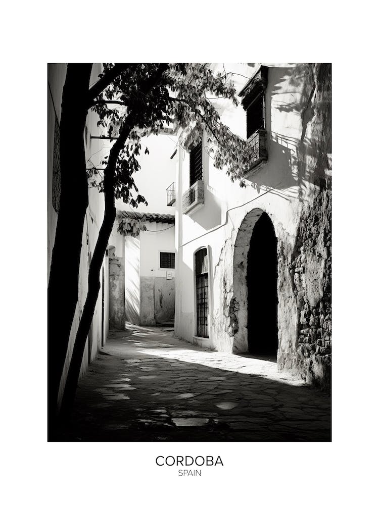 Poster von Cordoba, Spanien, Schwarz-Weiß Analogfotografie 3