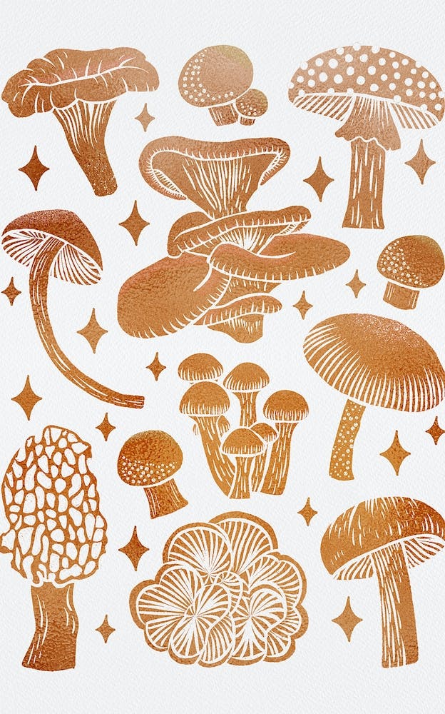 Texas Mushrooms   Copper Metallic