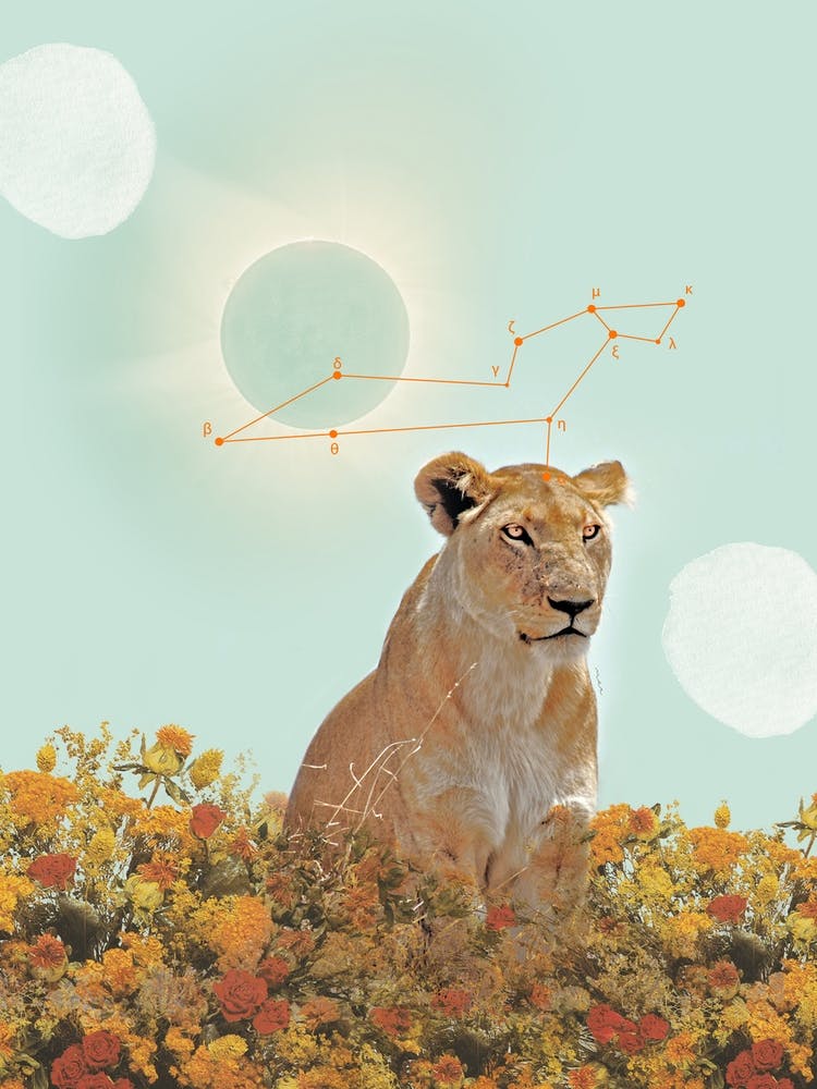Leo