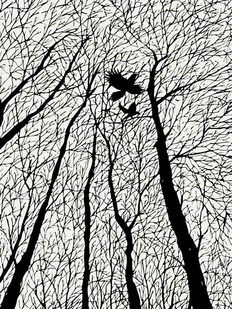 Silhouetted Ravens In The Winter Trees