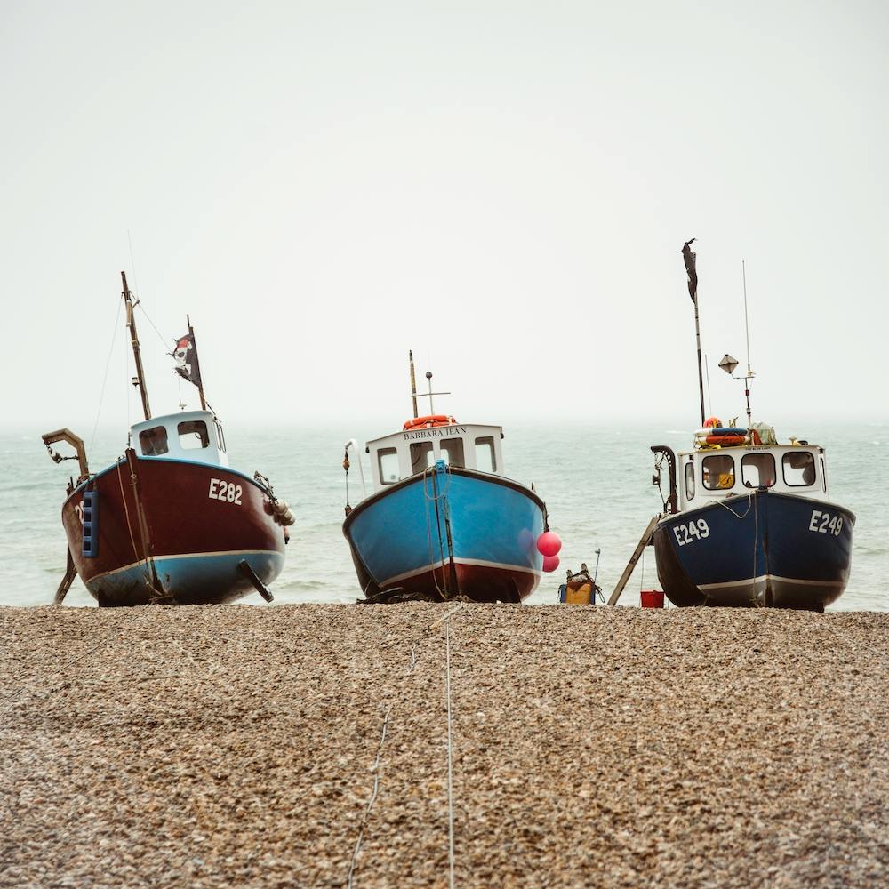 Beer Fishing Boats Square