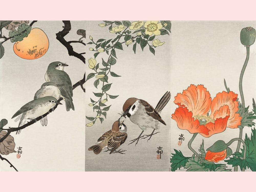 Vögel und Pflanzen (1900 1936), Ohara Koson
