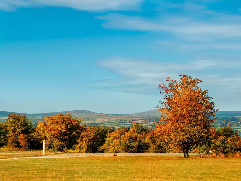 Yelverton, Dartmoor