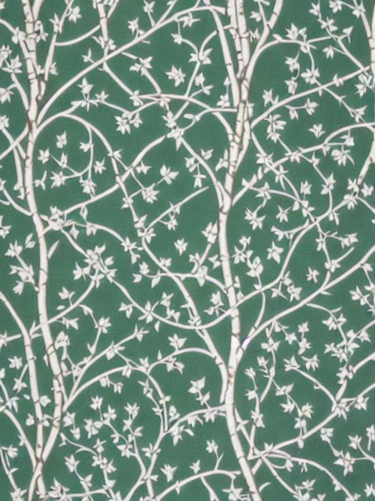 European White 2 Birch tree Vintage Botanical