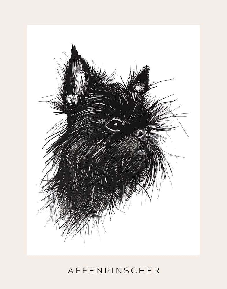 Affenpinscher Line Sketch 1 Poster