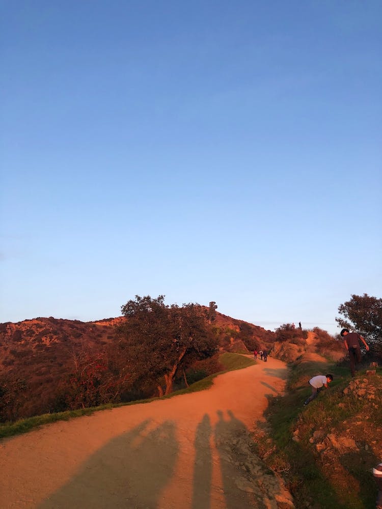 Golden Hour Griffith Park