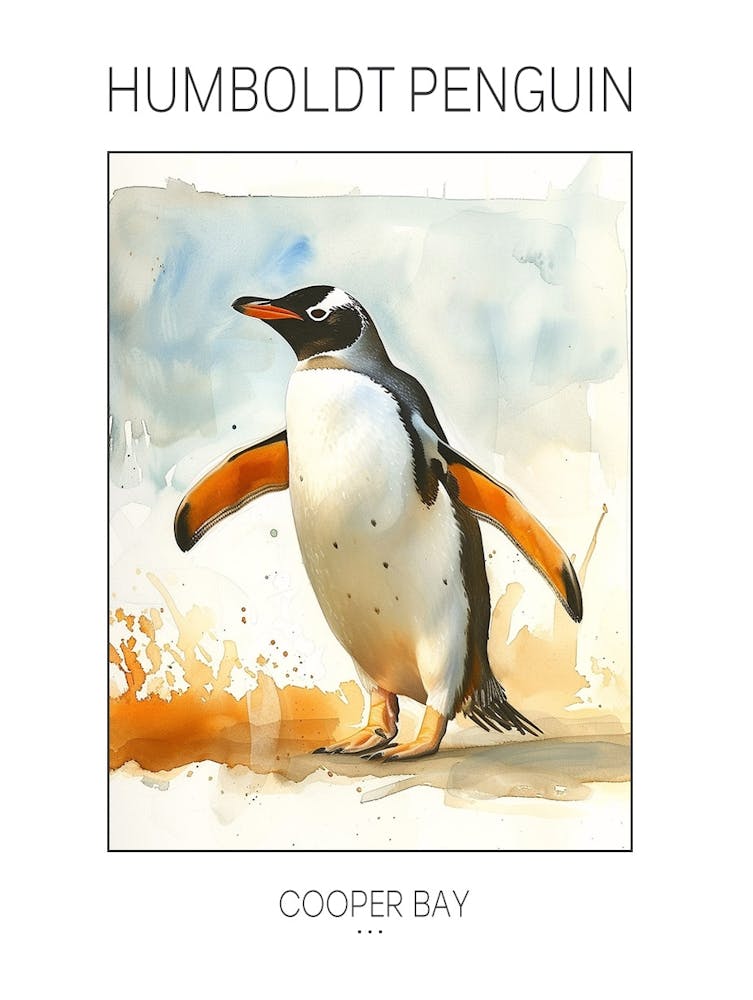 Humboldt Penguin Cooper Bay Watercolour Painting 4 Poster