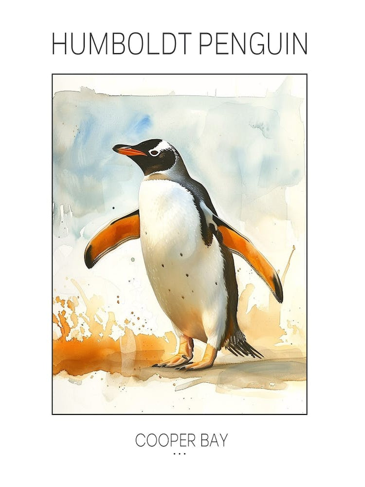 Humboldt Penguin Cooper Bay Watercolour Painting 4 Poster