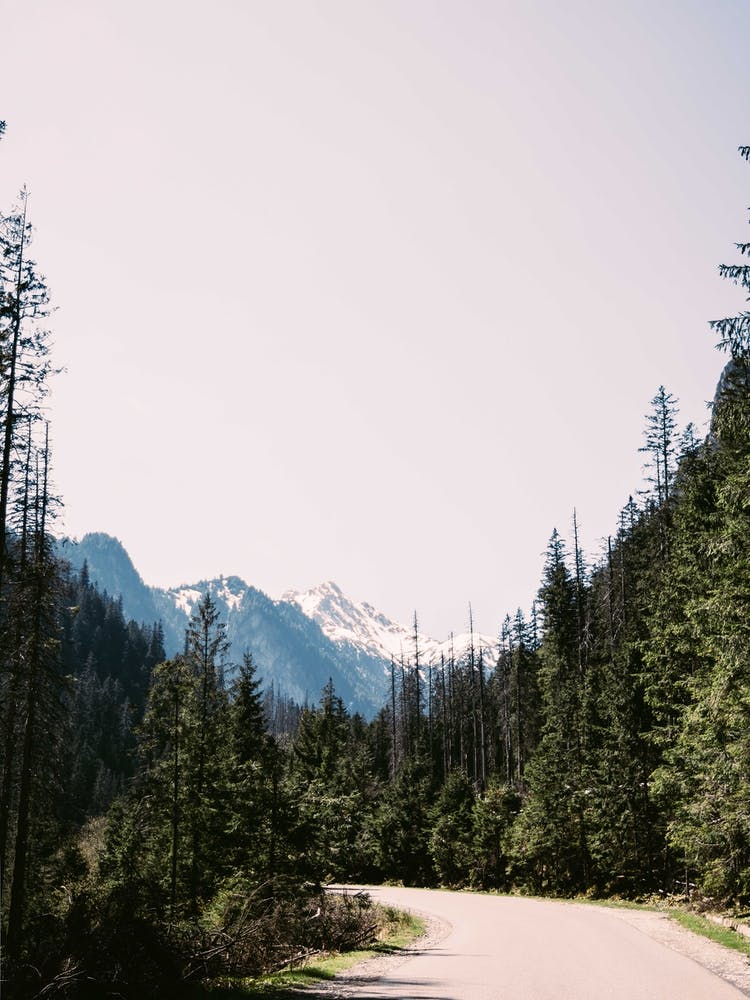 Road To Snow Summit