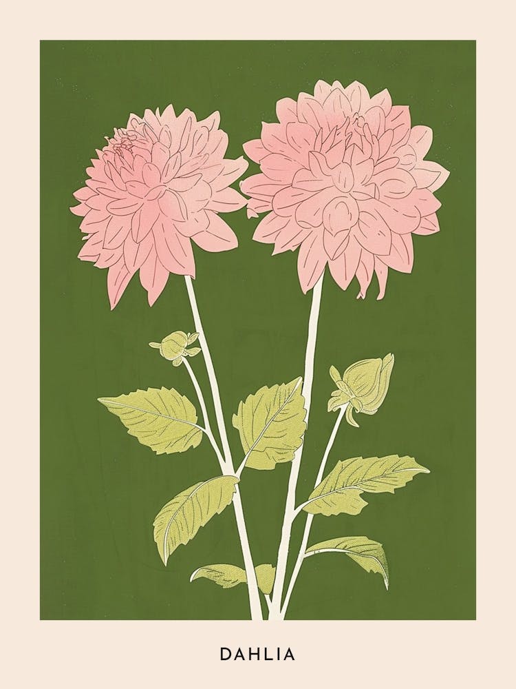 Pink & Green Dahlia 2 Flower Poster