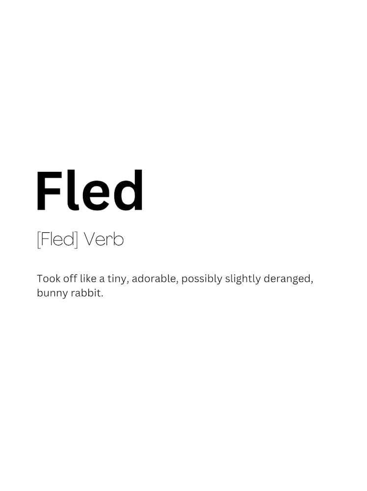 Fled Definition Meaning 1