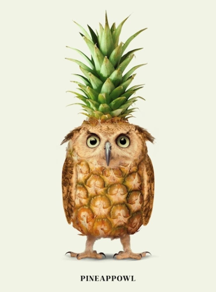 Pineapple Owl