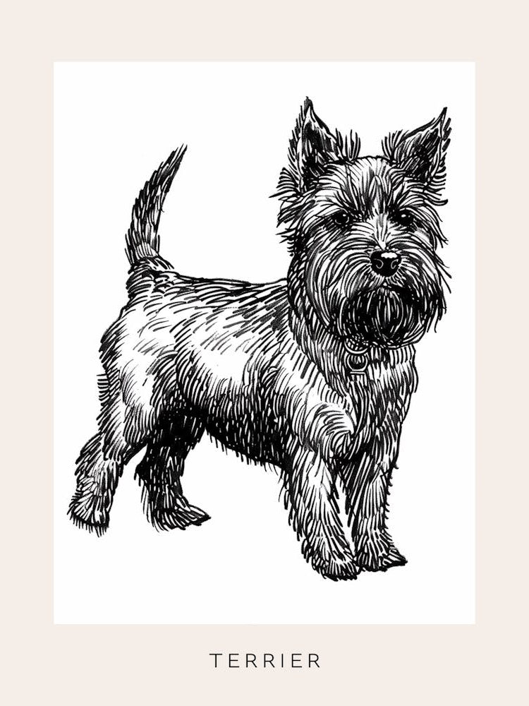 Cute Terrier Dog Line Art 4 Poster