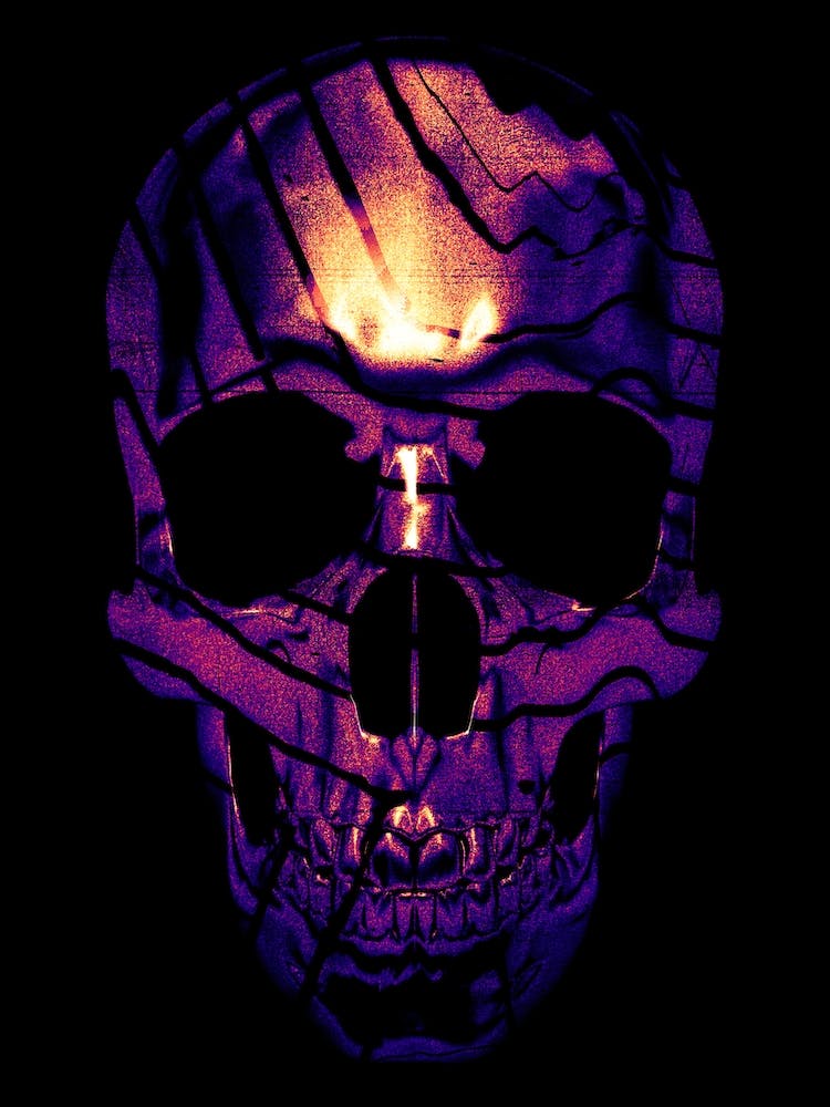 Skull 1