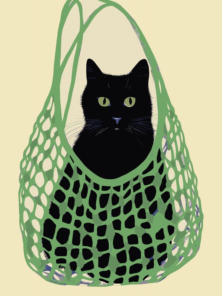 Black Cat In A Green Bag