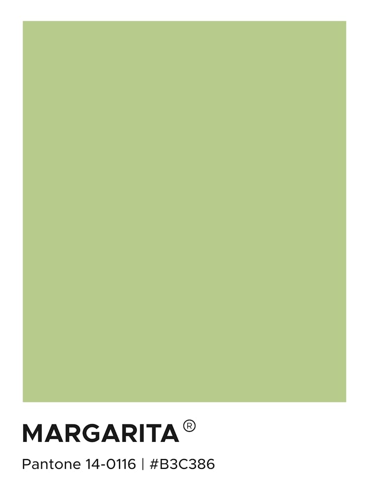 Margarita Pantone