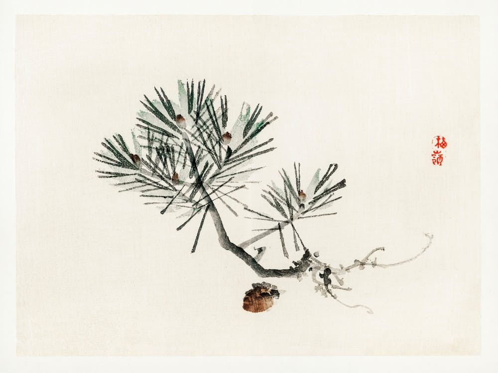 Pine, Kōno Bairei