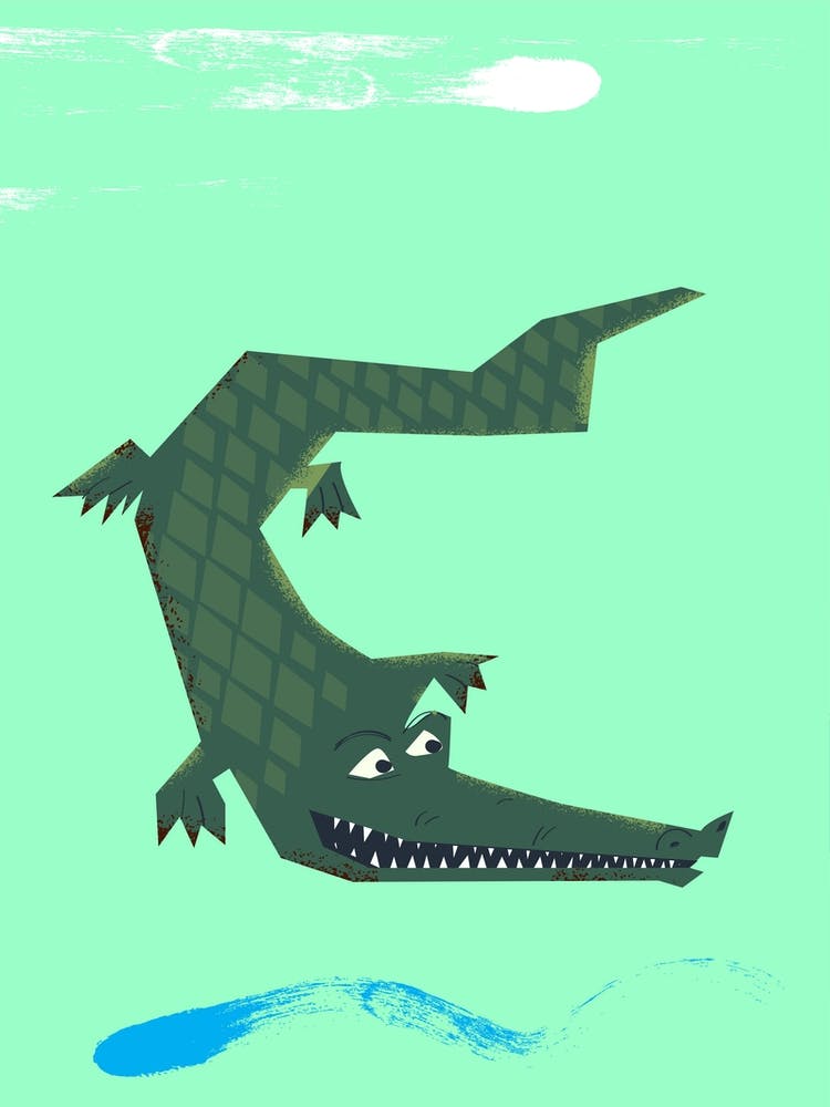 Alligator