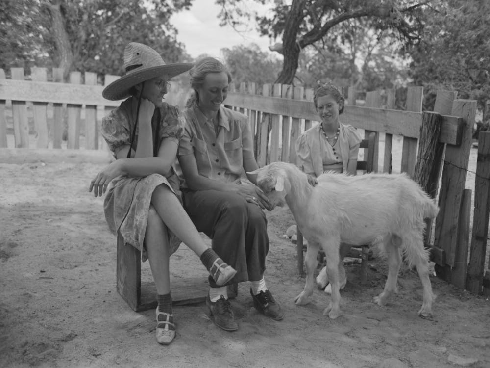 Untitled Photo, Possibly Related To Group Of Farmers, Homesteaders, And Their Families Visiting All Day Sunday To