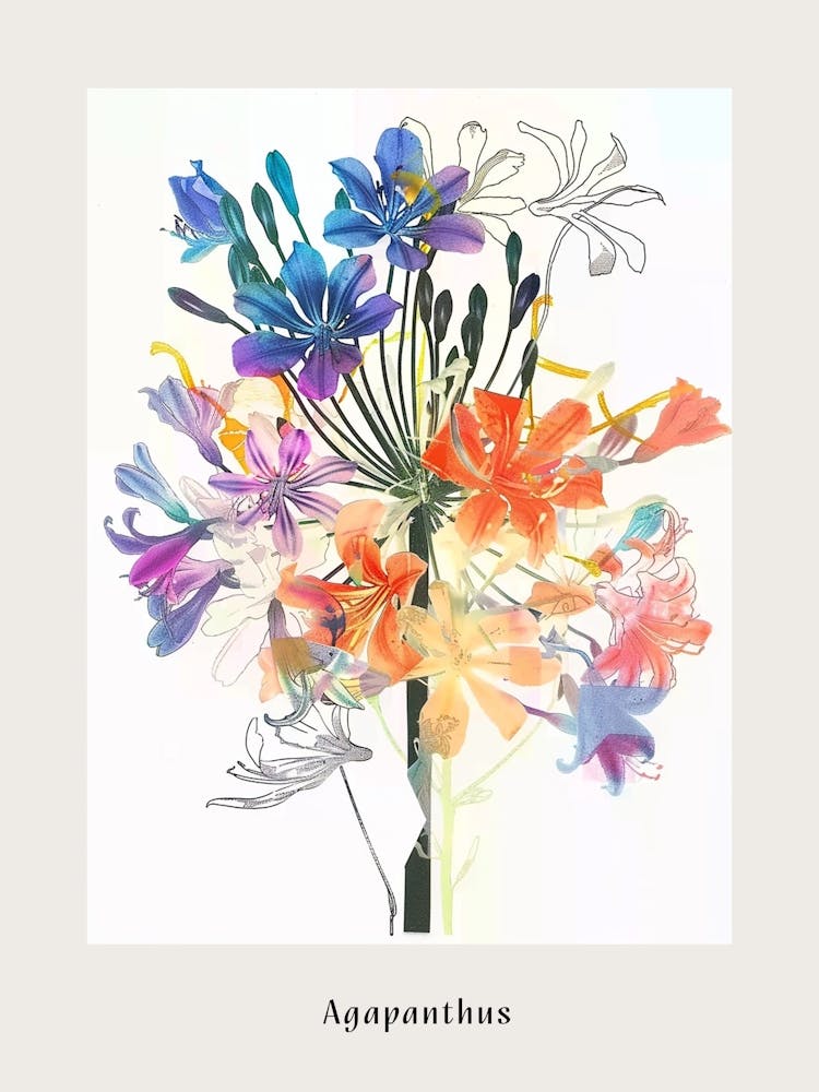Agapanthus Collage Flower Bouquet Poster