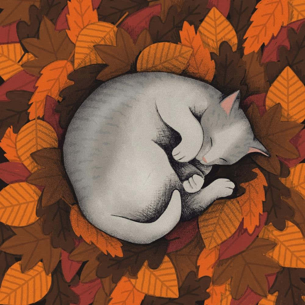 Afbadcbb 58a5 4e80 892e 537abe15e597