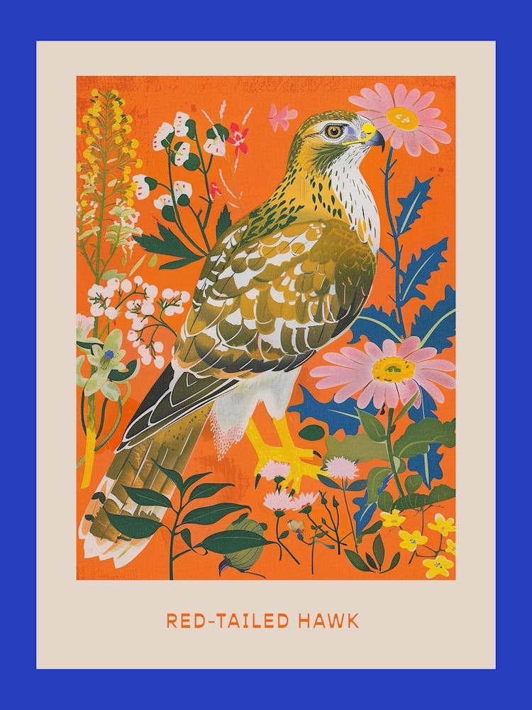 Spring Birds Poster Red Tailed Hawk 1