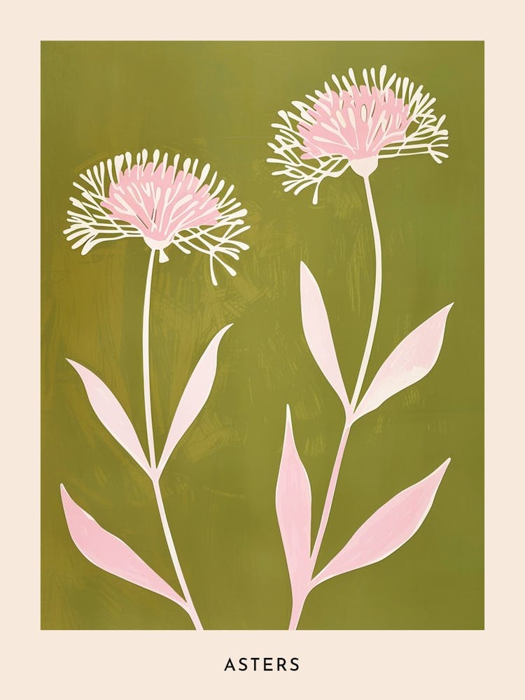 Pink & Green Asters 2 Flower Poster