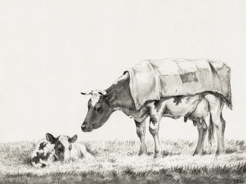 Standing Cow With Lying Calf, Jean Bernard