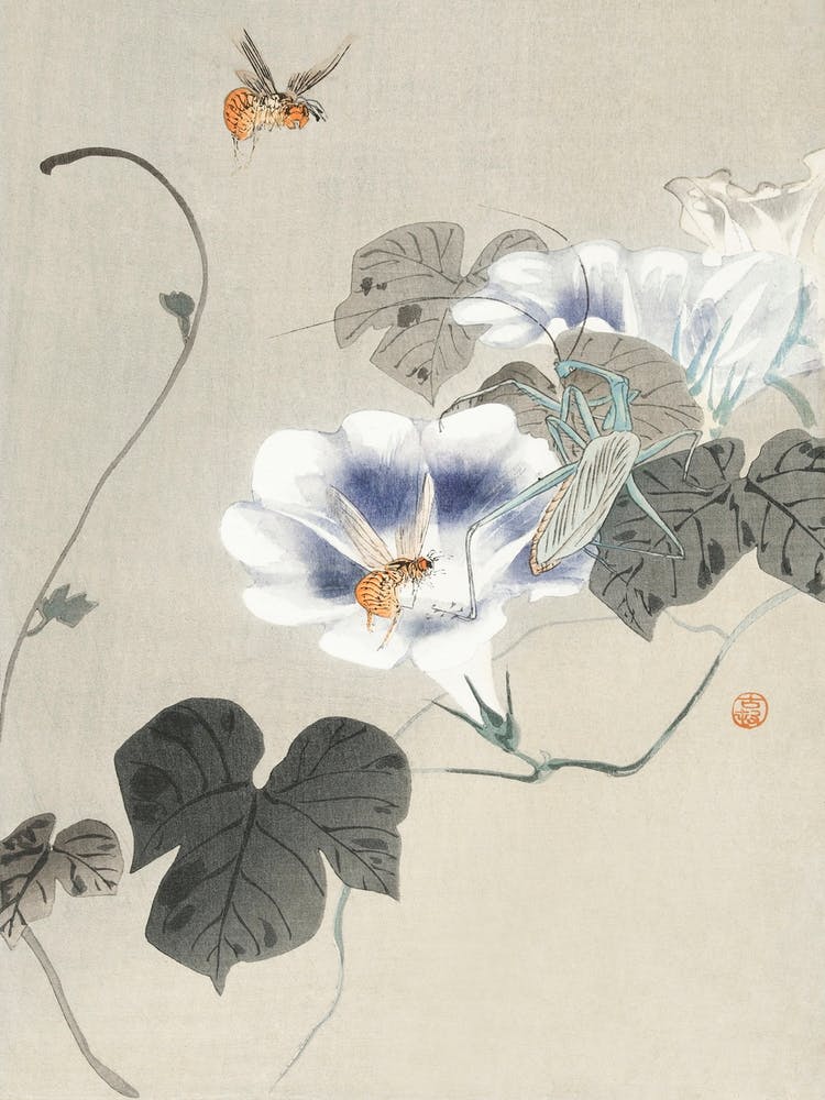 Insects Near Bindweed (1900 1930), Ohara Koson