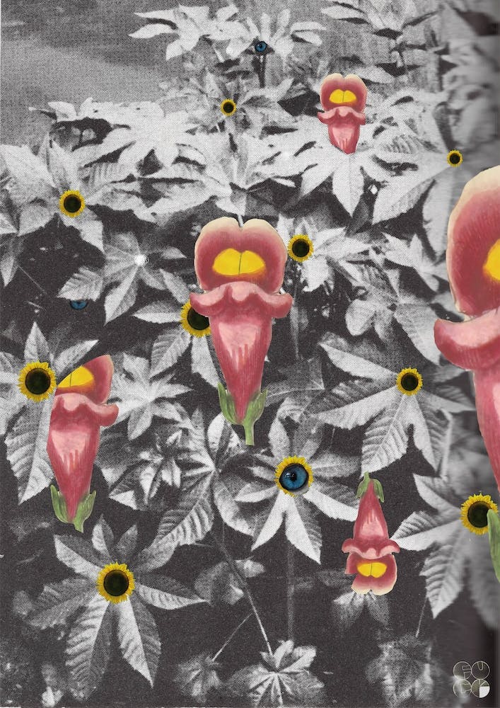 Flowers Still Life, Happy Abstraction 2