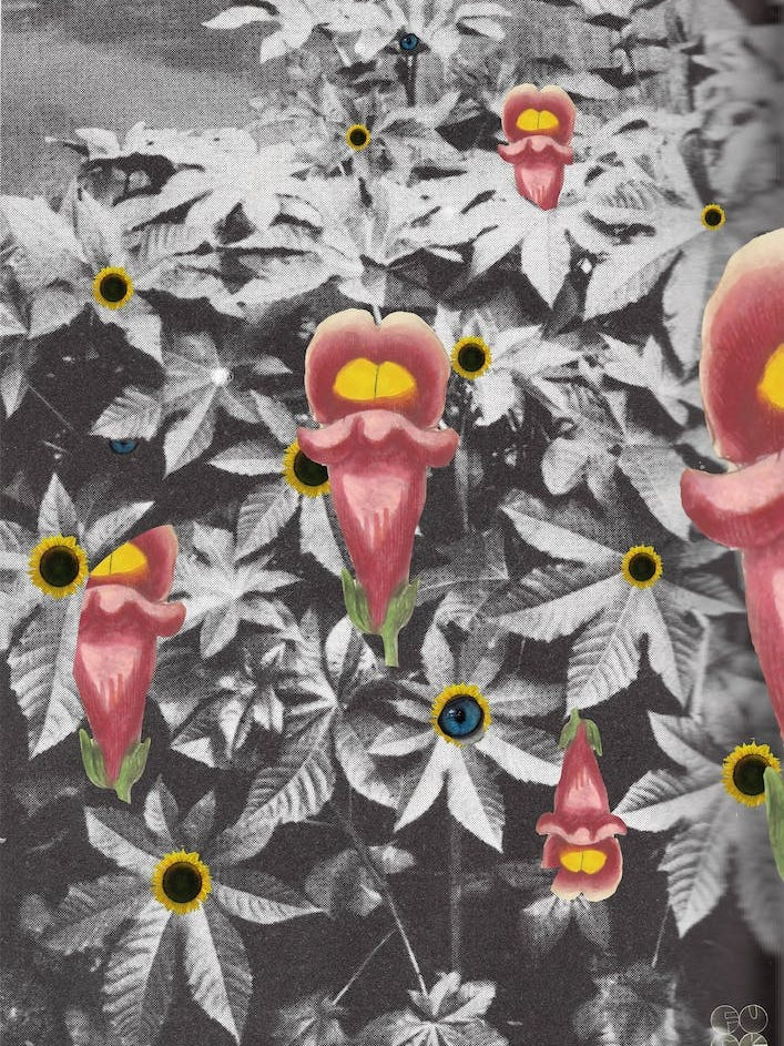 Flowers Still Life, Happy Abstraction 2