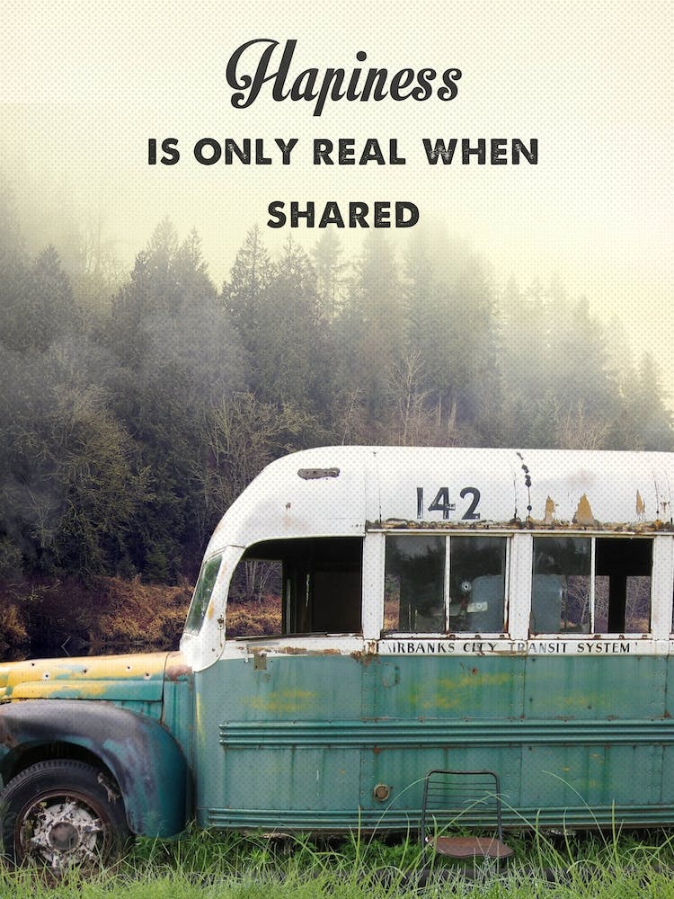 Into The Wild Movie