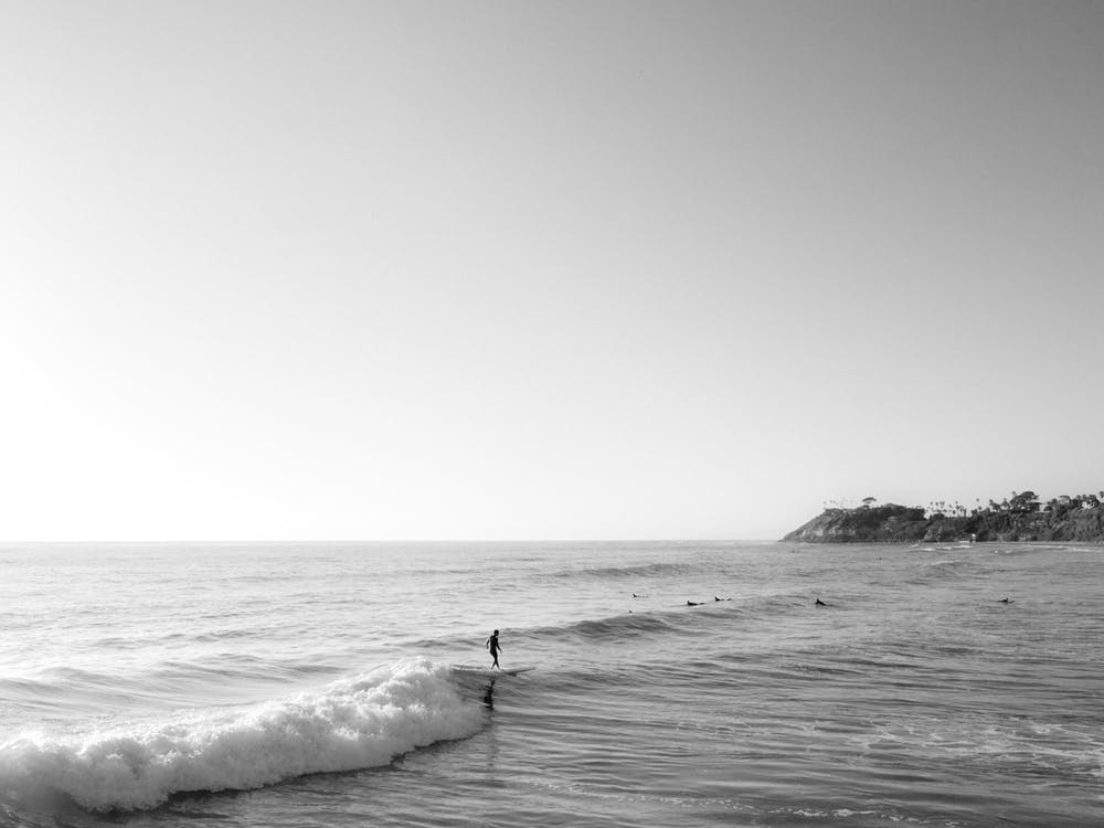 Surfer Riding Wave In Paradise
