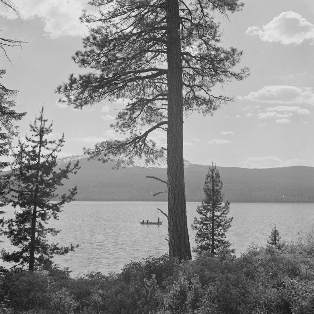 Douglas County, Oregon, Diamond Lake Resort Area By Russell Lee