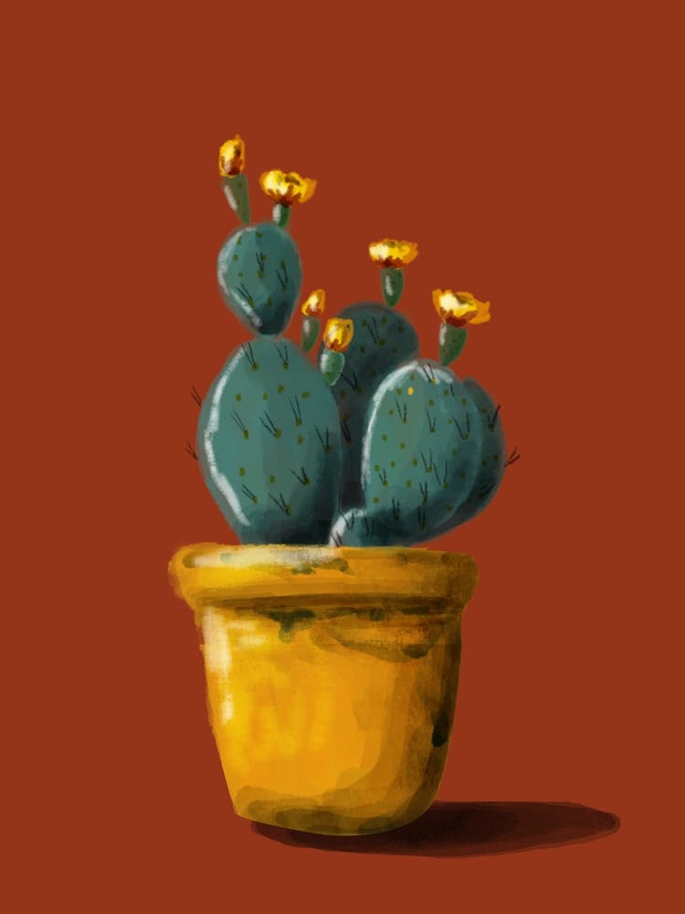 Cactus On Red Background
