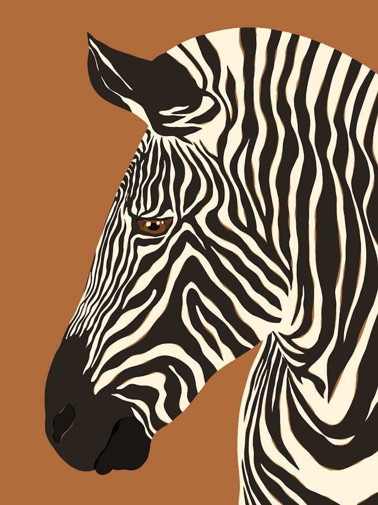 Jungle Safari Zebra on Brown