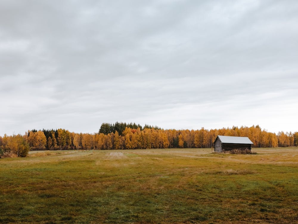 Barn In Fall Field