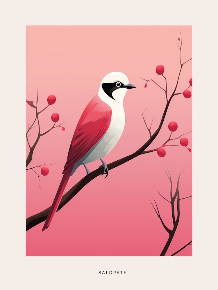 Minimalist Baldpate Bird Poster