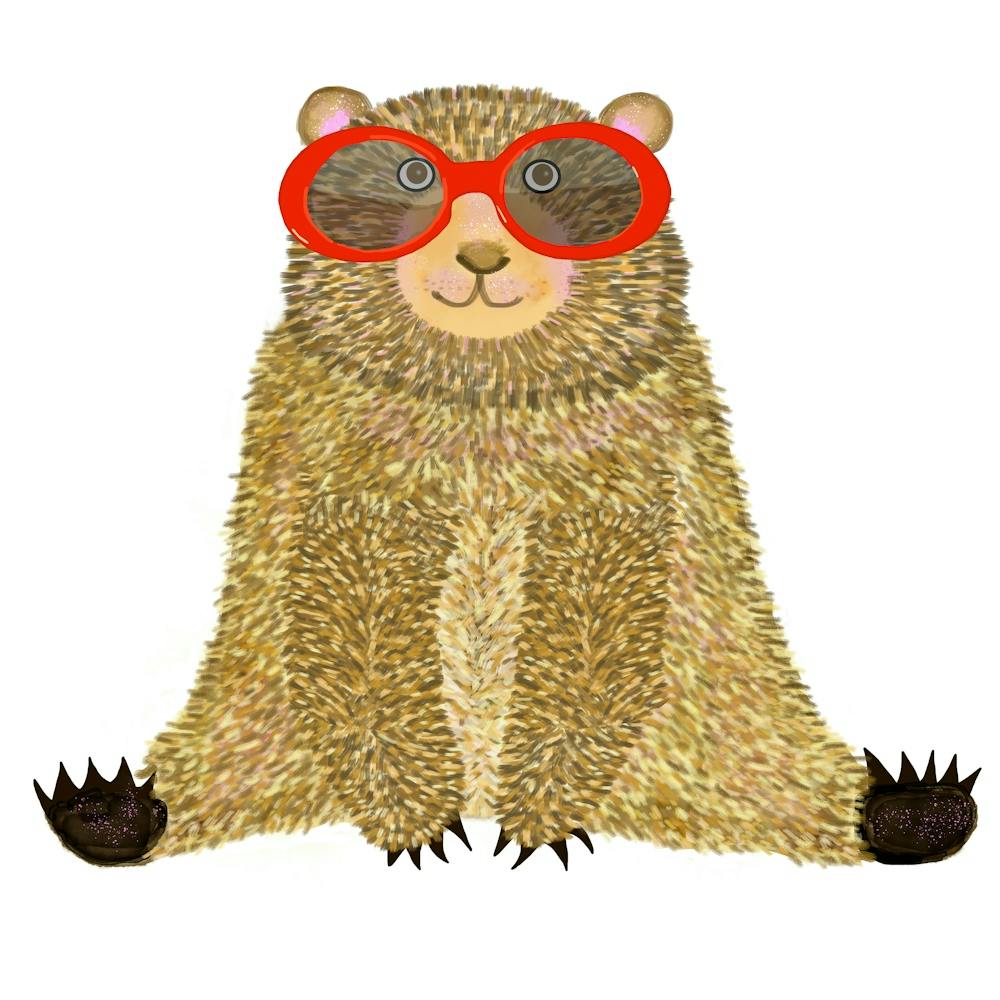 Bear In Sunglasses