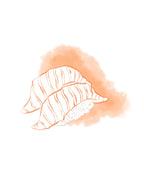 Salmon Nigiri Sushi