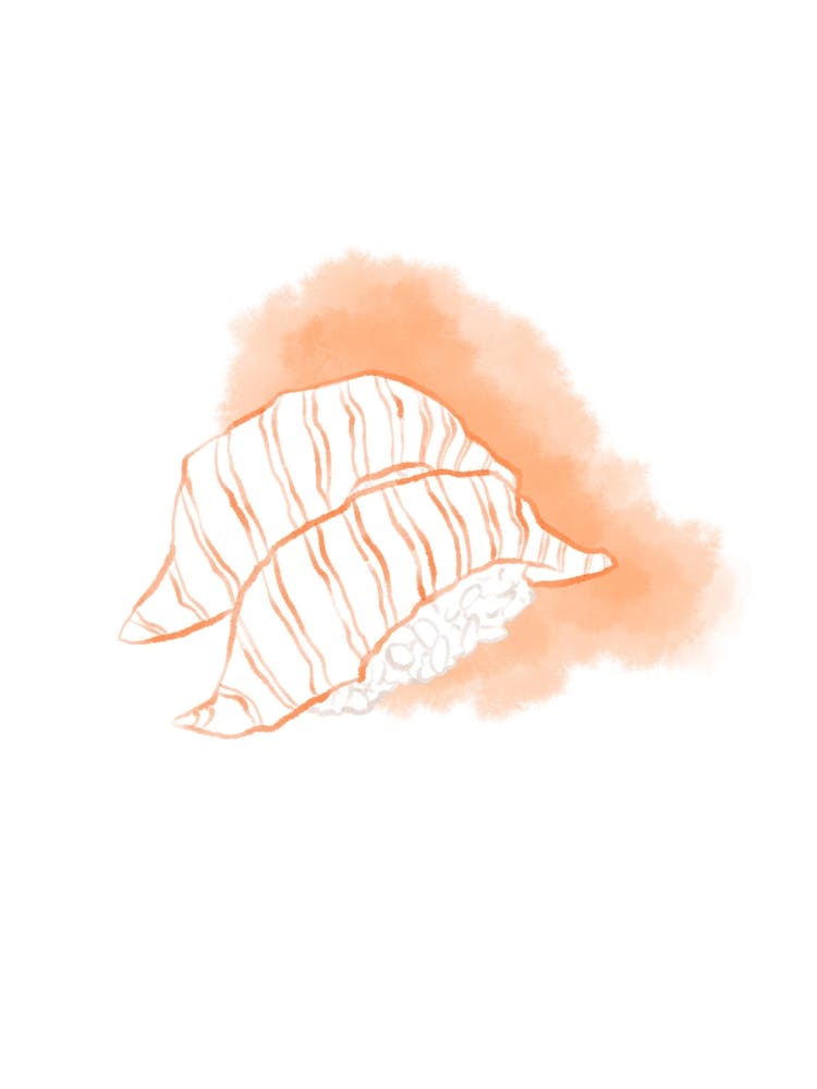 Lachs Nigiri Sushi