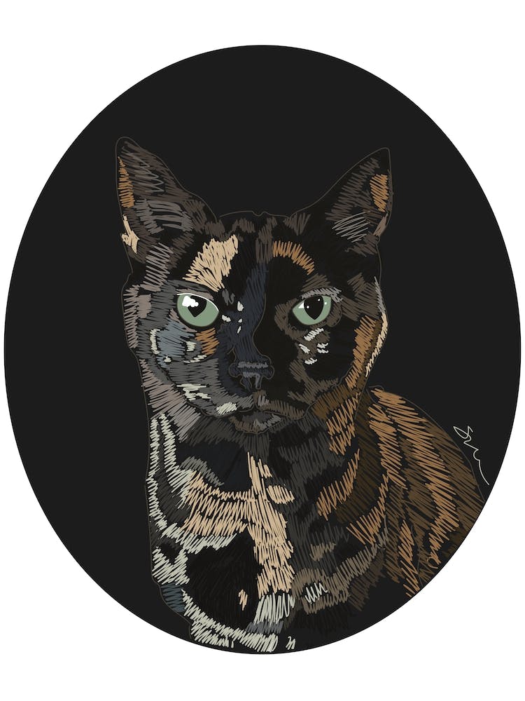 Tortie Cat Portrait